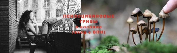 прущие крисы Алексеевка