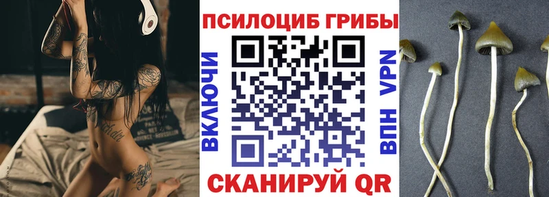 Галлюциногенные грибы MAGIC MUSHROOMS  купить наркотик  Петушки 